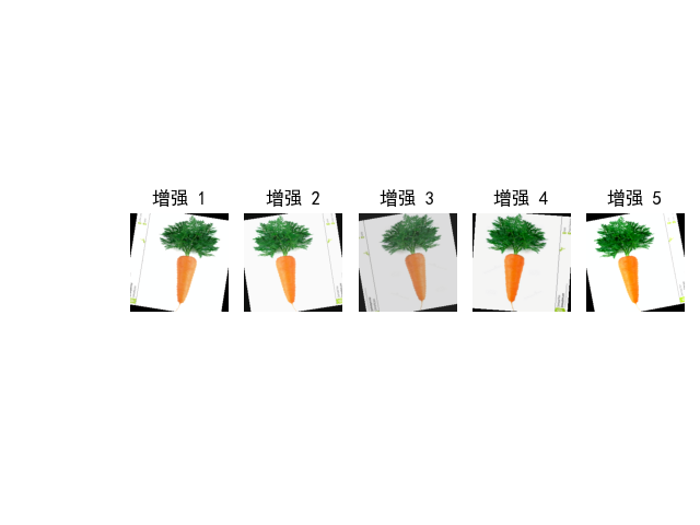 原始图像与多次数据增强结果