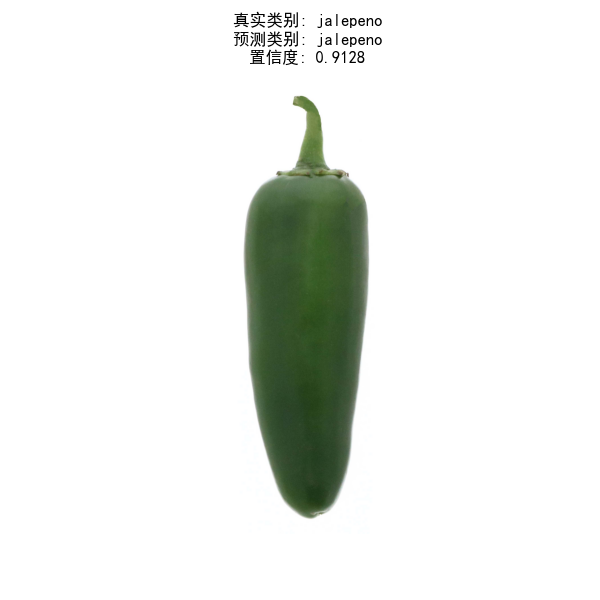 测试集单张图像预测示例